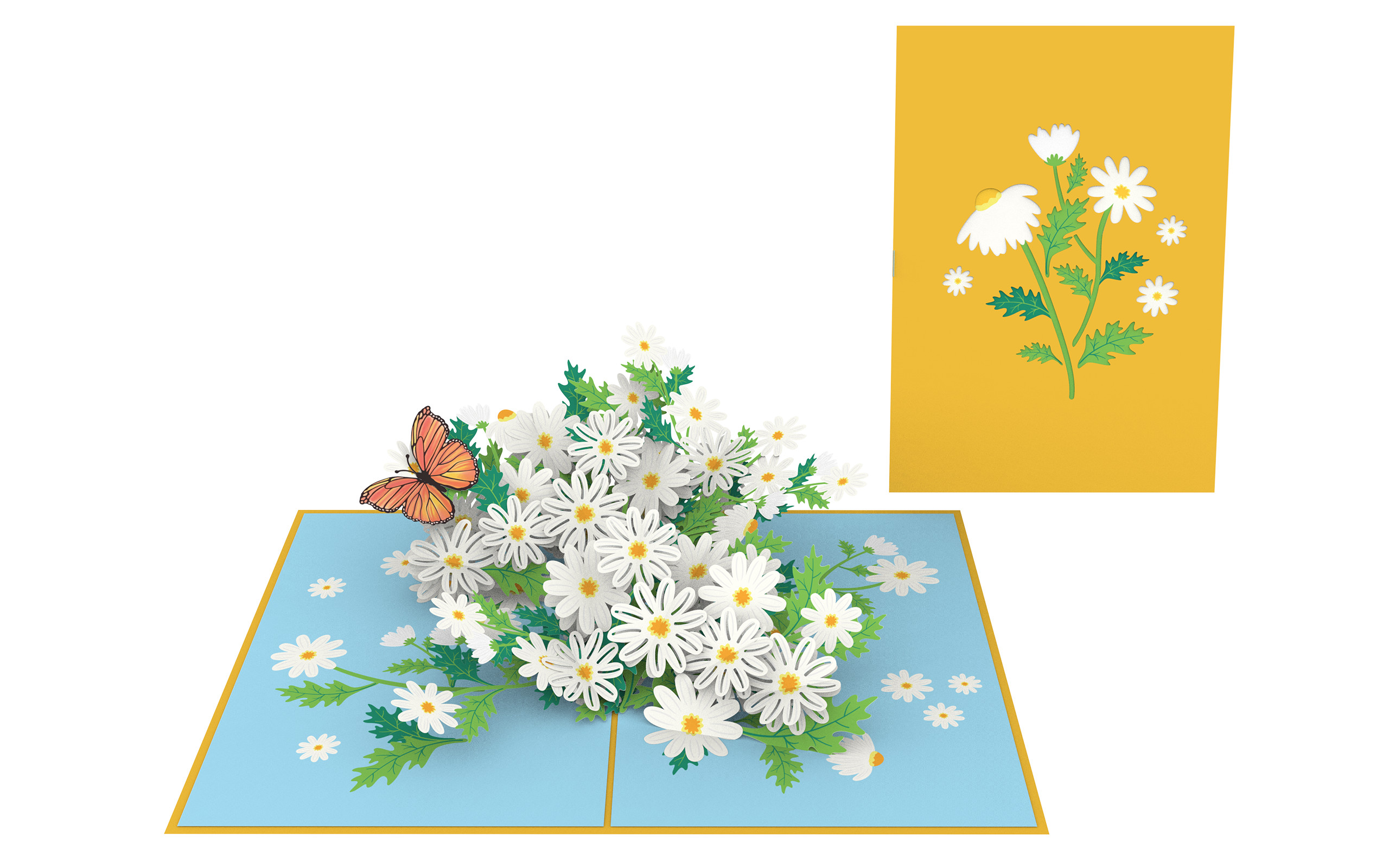 Thiệp 3D_Daisies Garden