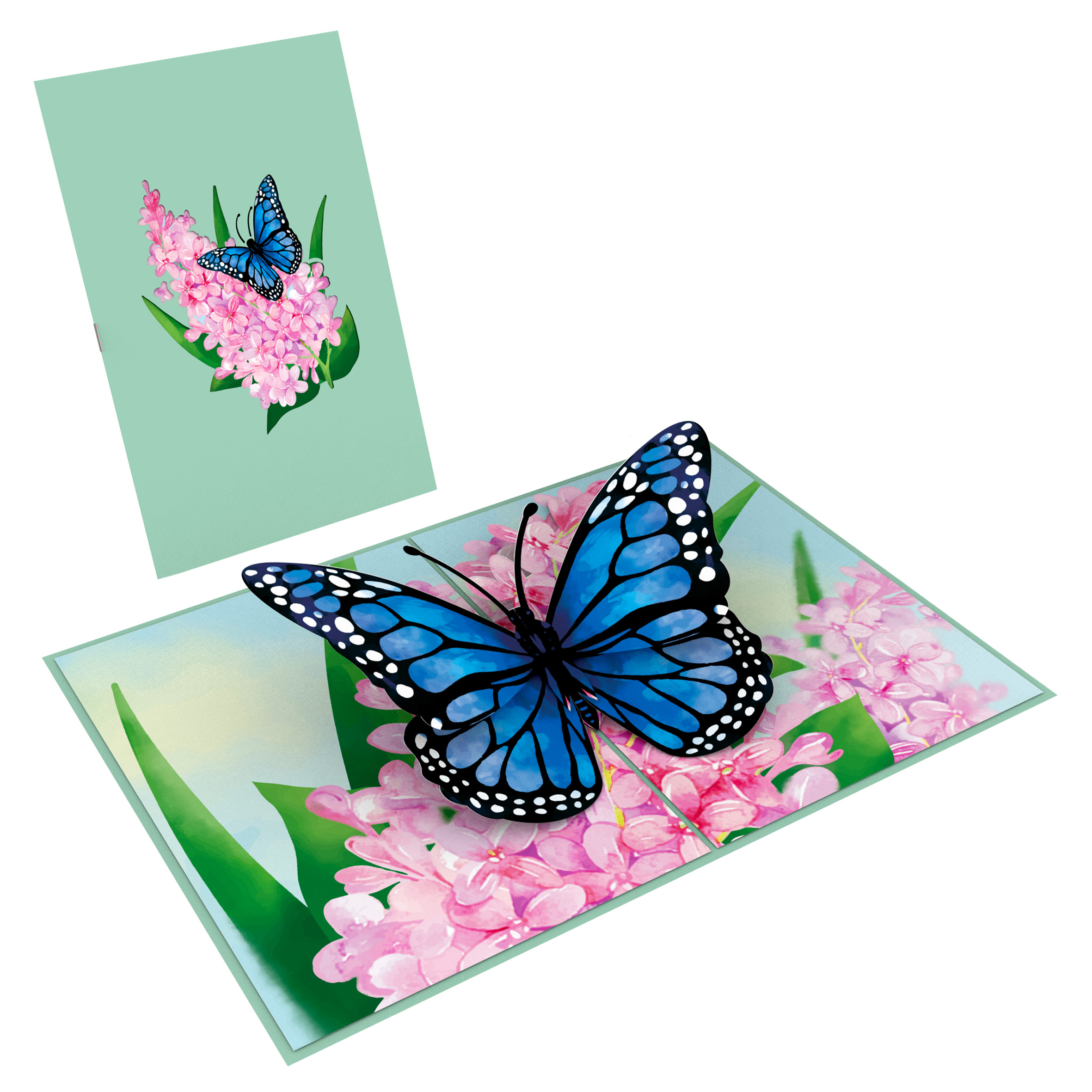 Thiệp 3D_Blue Butterfly-1