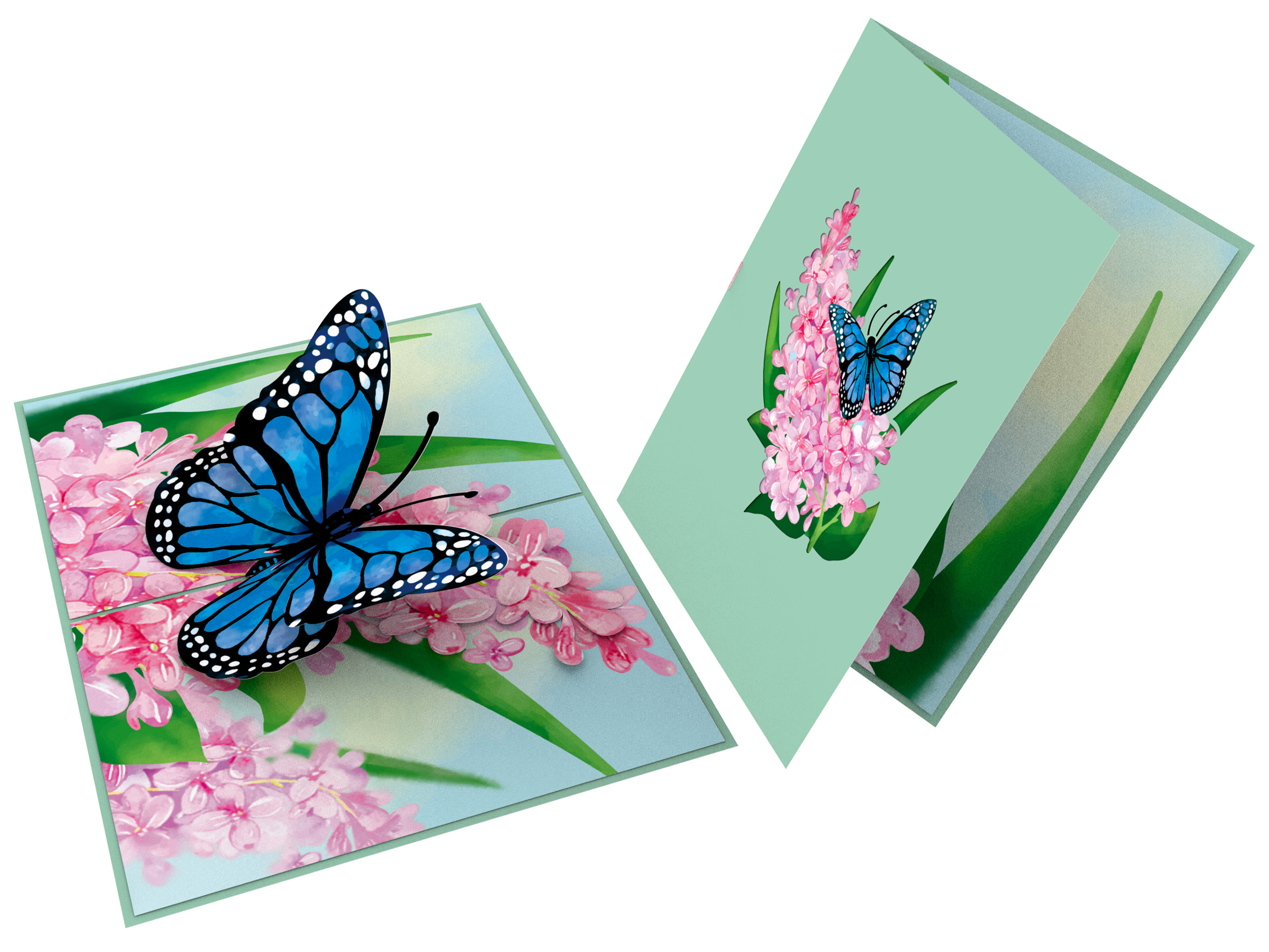 Thiệp 3D_Blue Butterfly-2