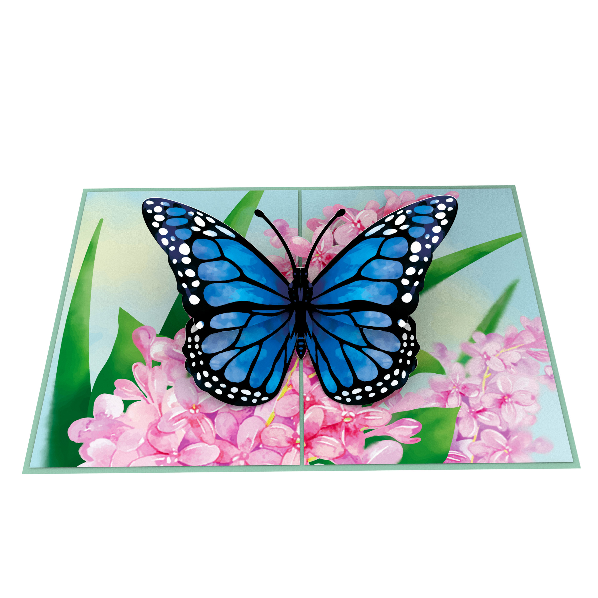 Thiệp 3D_Blue Butterfly-3