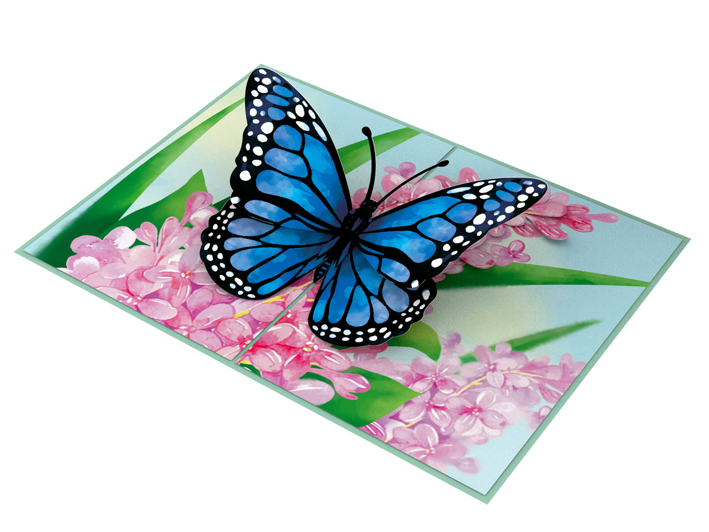 Thiệp 3D_Blue Butterfly-4