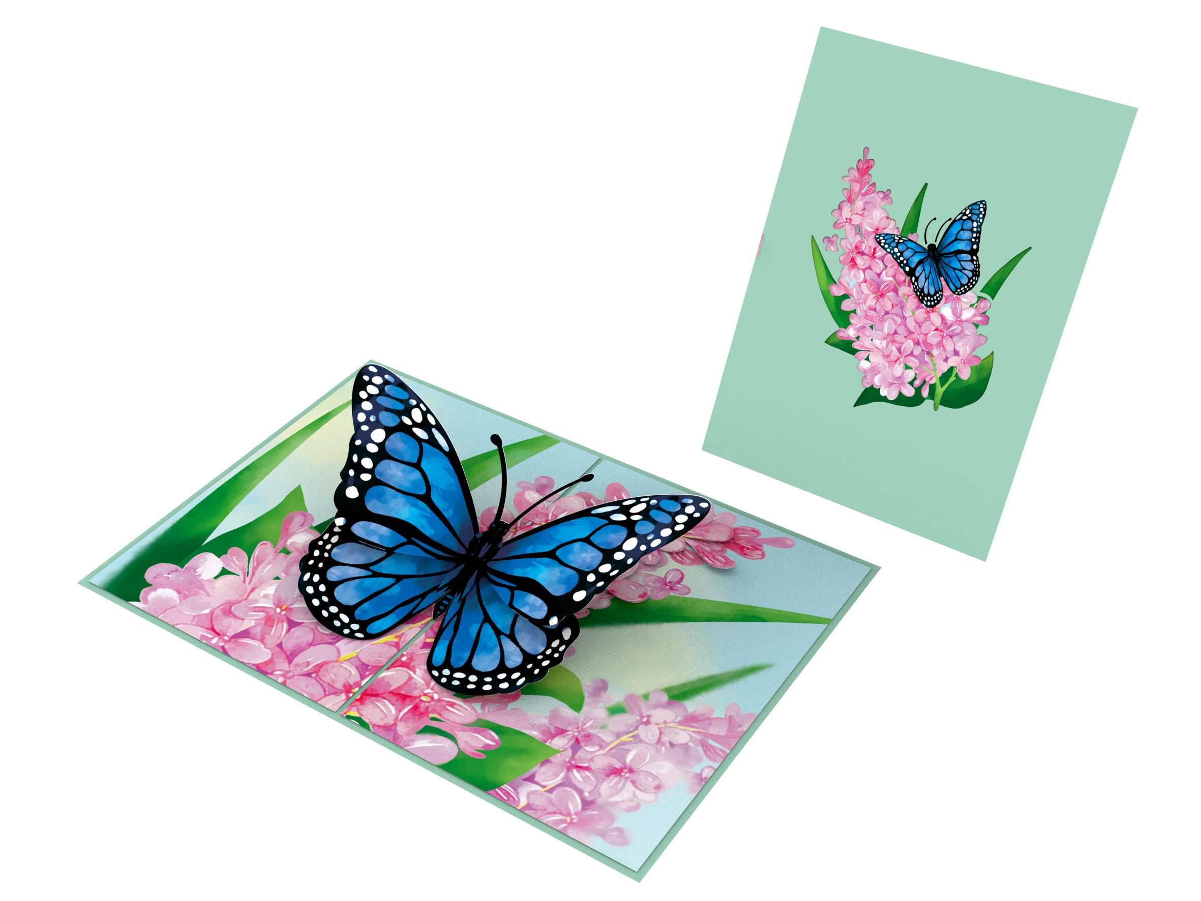 Thiệp 3D_Blue Butterfly-5