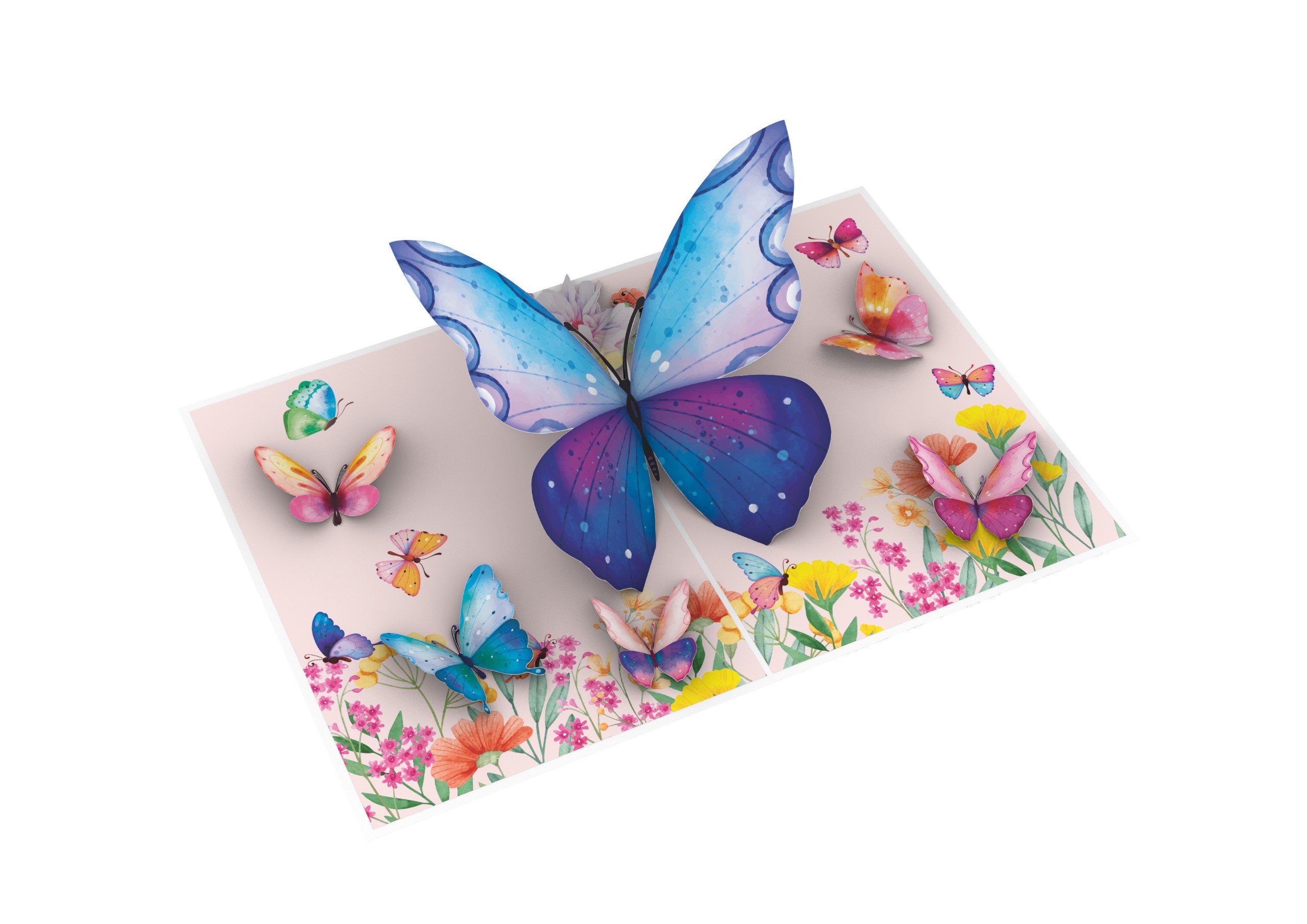 Thiệp 3D_Butterflies Wild Flower-3