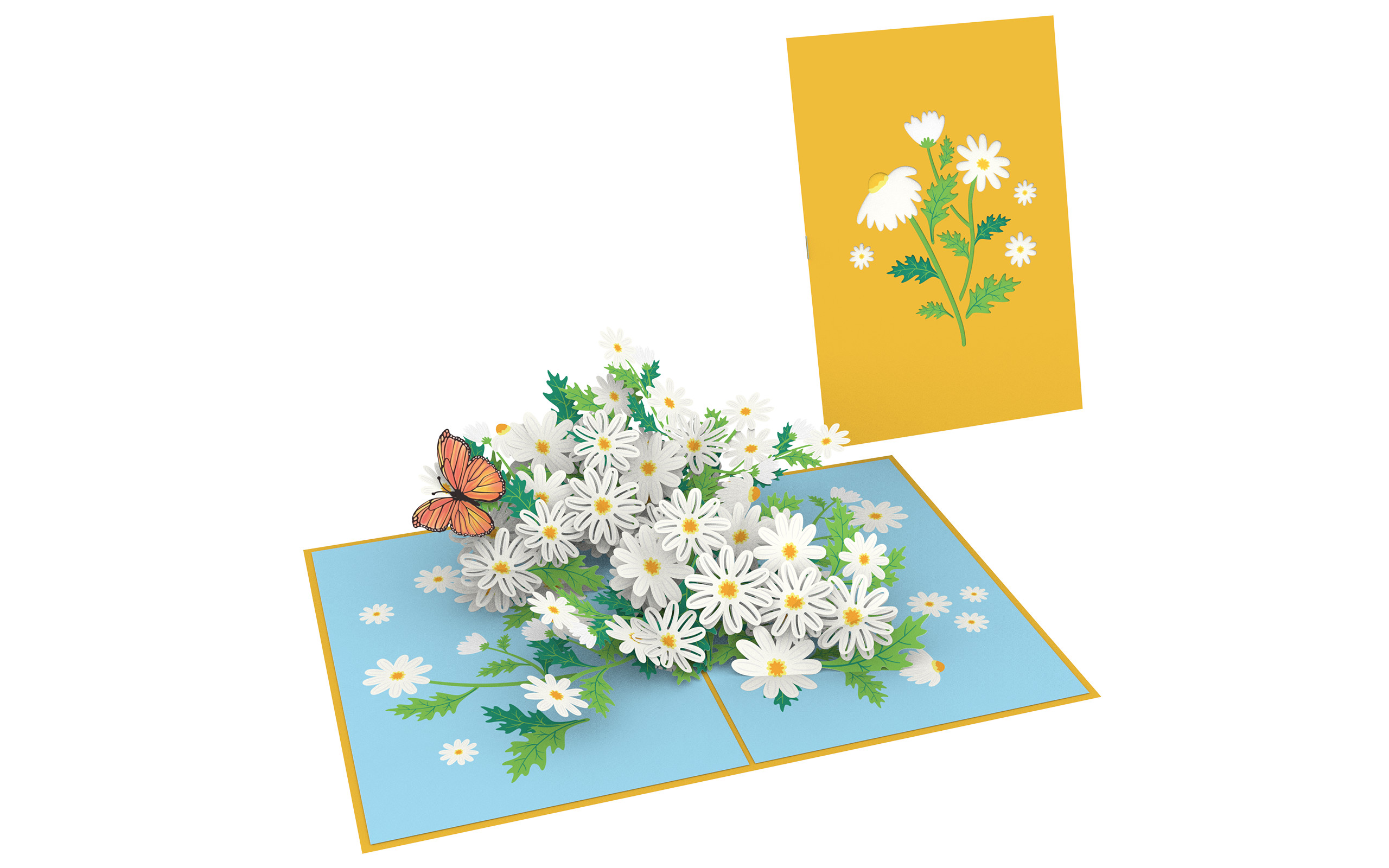 Thiệp 3D_Daisies Garden-2