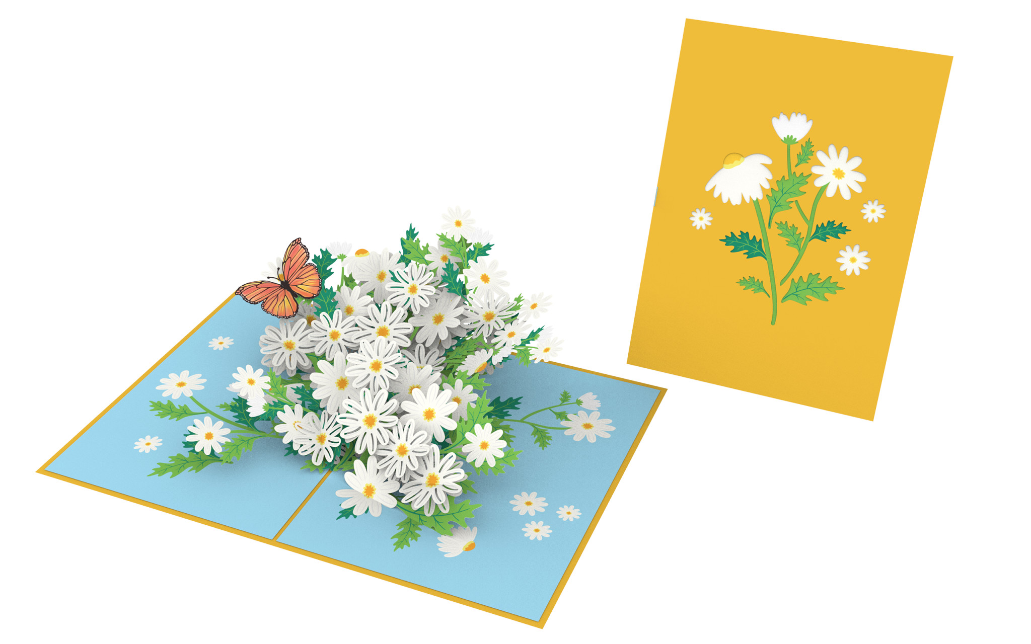 Thiệp 3D_Daisies Garden-7