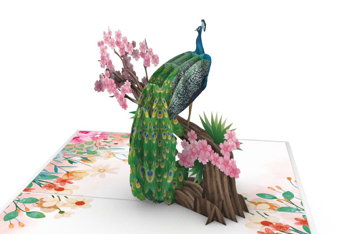 Thiệp 3D_Peacock-1