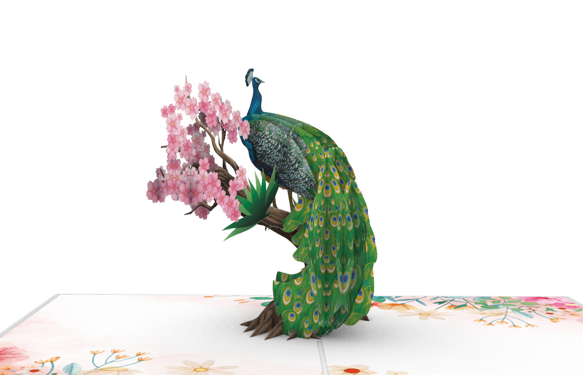 Thiệp 3D_Peacock-3